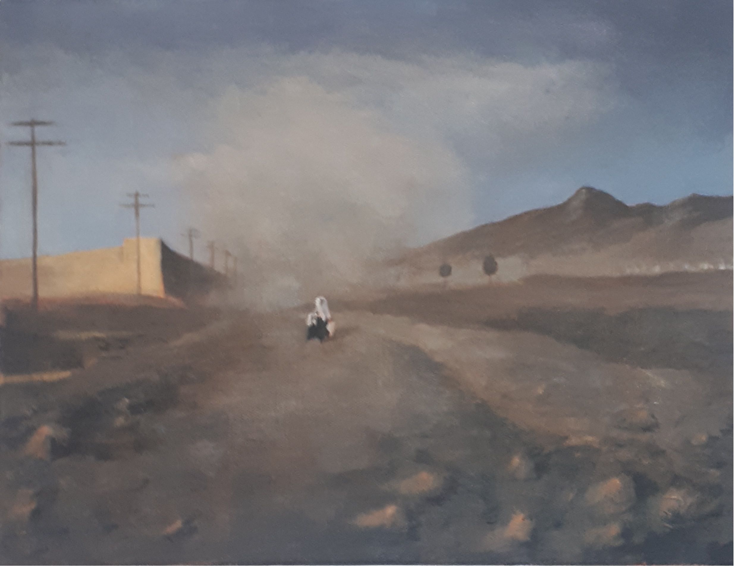 Afghanistan, copia foto di Tass