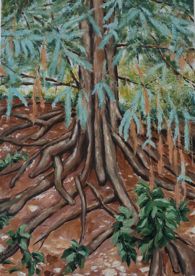 Jardin des Plantes, Paris (2021)